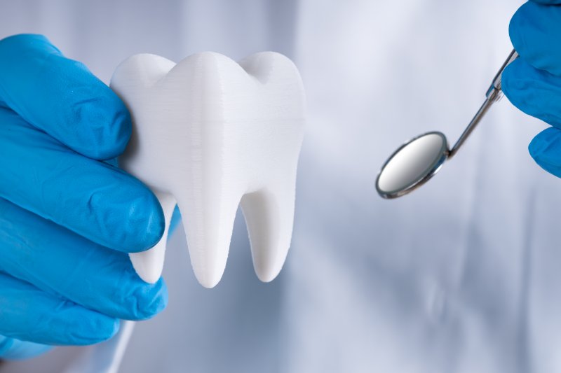 Dentist holding healthy model tooth and dental mirror